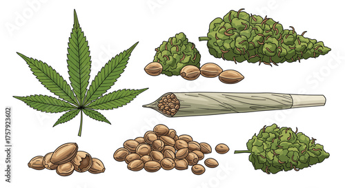 A detailed collection of cannabis plant parts including a marijuana leaf seeds and expertly rolled joints.