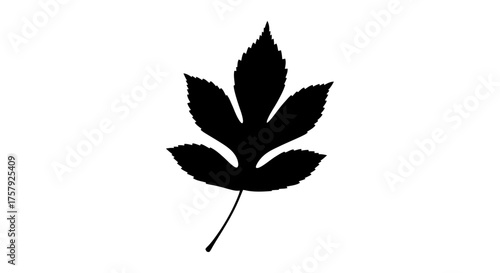 natures pure outline graphic symbol for impactful, mindful, sustainable projects, isolated on transparent background