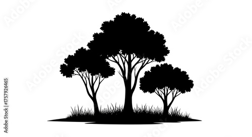 organic purity a minimalist vision of natures timeless strength, isolated on transparent background