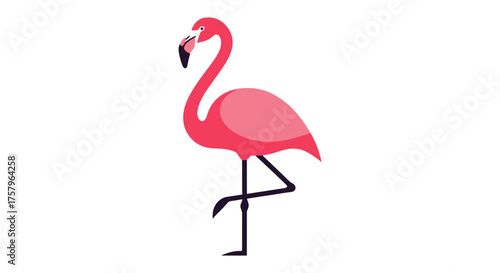Vibrant pink flamingo illustration standing gracefully on one leg isolated on white