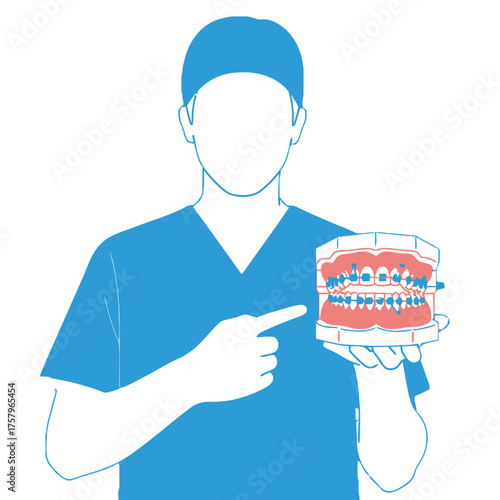 Dentist in blue scrubs pointing to dental model teeth with braces