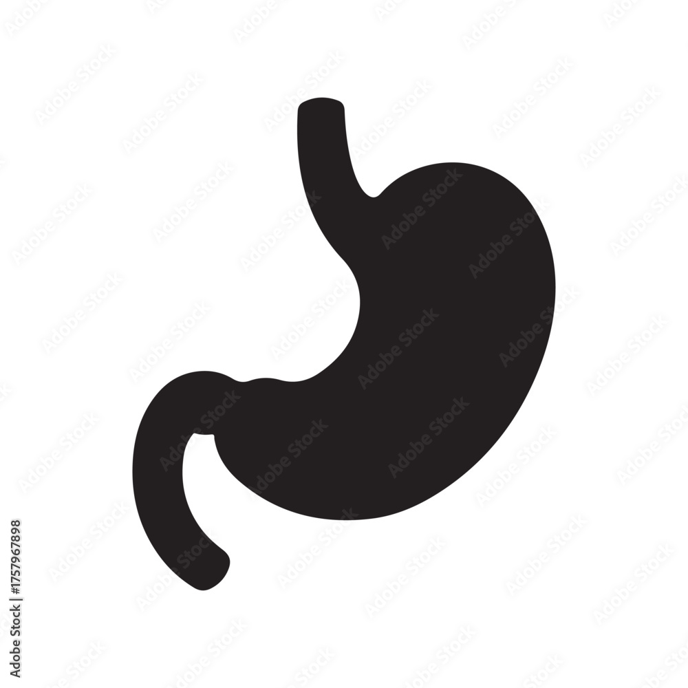Fototapeta premium Stomach black silhouette vector illustration isolated on white background 