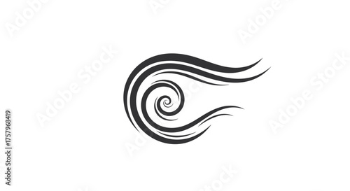 Elegant swirl design with flowing lines creating a mesmerizing abstract pattern