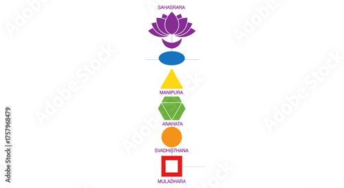 The seven chakras, energy centers in the body, depicted in their respective colors and geometric