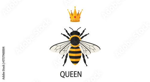 Vector illustration of a queen bee with a crown on a white background for design royalty and