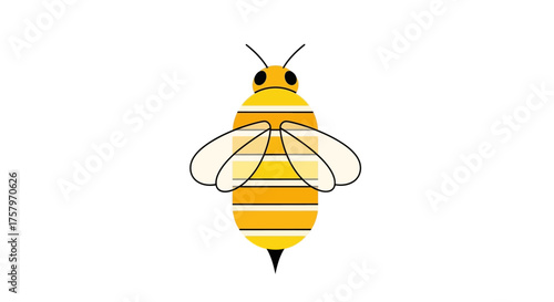 Cute minimalistic vector illustration of a yellow and orange striped honey bee on a white background