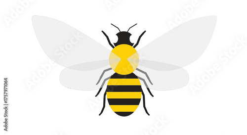 Illustration of a honey bee in a minimalistic style with yellow and black stripes body