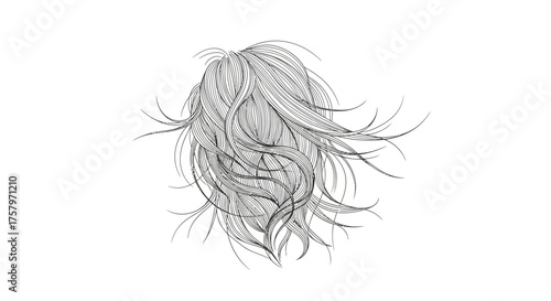 Detailed line drawing of stylized long wavy hair flowing in a dynamic arrangement