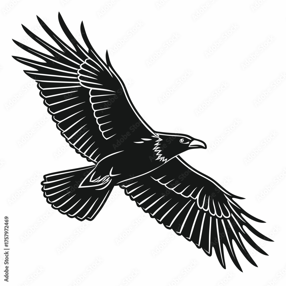 Obraz premium eagle vector illustration