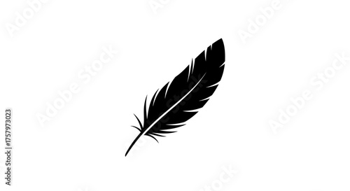 Elegant feather illustration on white background providing simplicity and sophistication its