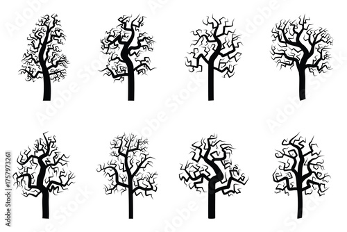 Silhouette Of A Dry And Dead Tree