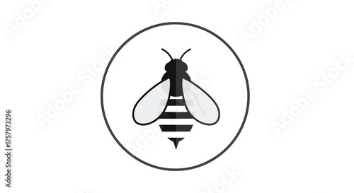 Minimalist bee illustration inside a circle for honey and nature related themes
