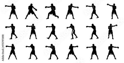 Boxer silhouettes in various poses boxing fighter