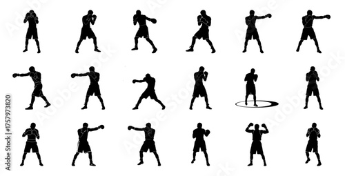 Boxer silhouettes in various poses boxing fighter