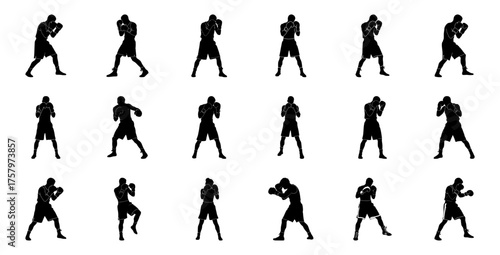 Boxer silhouettes in various stances boxing fighter