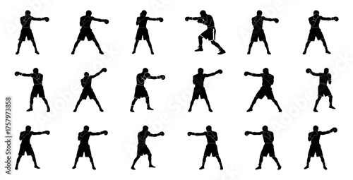Boxer silhouettes in various poses boxing fighter