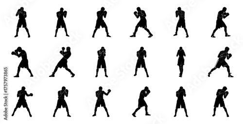 Boxer silhouettes in various stances boxing fighter