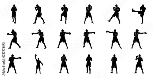 Boxers in various stances boxing fighters