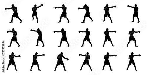 Boxing silhouettes in action fighter sport
