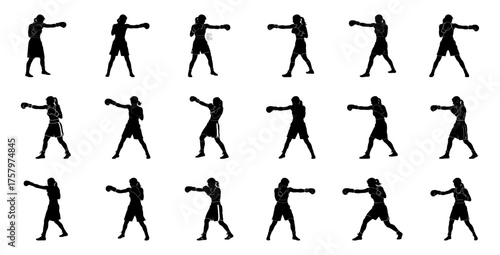 Female boxers striking poses boxing athlete