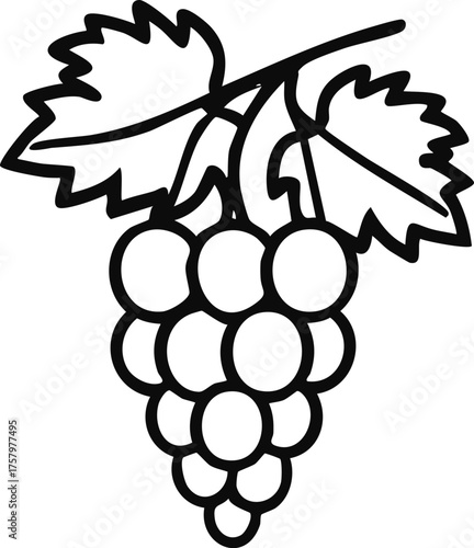 Illustration of a bunch of grapes on a vine, a classic symbol of nature, agriculture, and viticulture