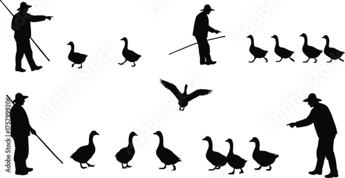 "Silhouette illustration of people herding geese with sticks, rural countryside farming scene, teamwork, traditional agriculture, nature, wildlife, outdoor lifestyle"