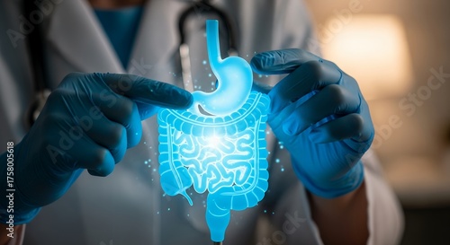 Doctor's hands with blue gloves pointing at digital human digestive system model. Concept for gastroenterology research, gastrointestinal diagnostics and healthcare awareness
