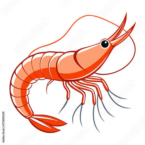 shrimp isolated on white background