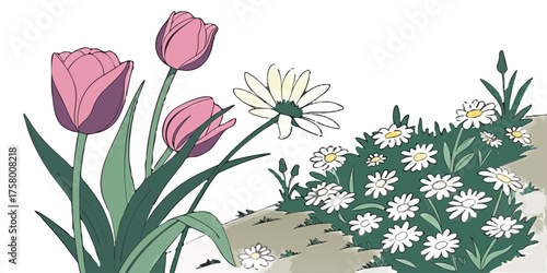 Delicate pink tulips and cheerful white daisies bloom in a vibrant garden setting, bringing fresh spring beauty to any design project