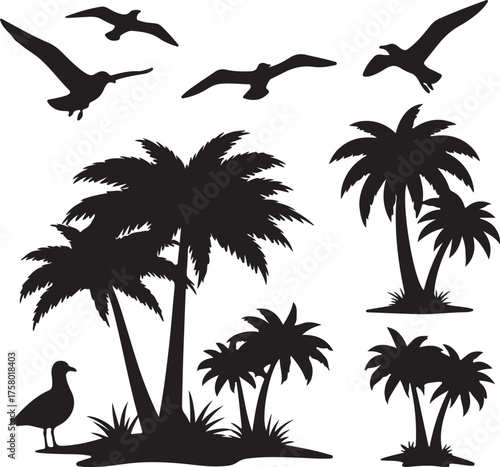 silhouettes of palms