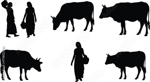 Rural village lifestyle silhouettes with women carrying water containers and cows grazing, traditional farming culture, agriculture, pastoral daily life vector illustration