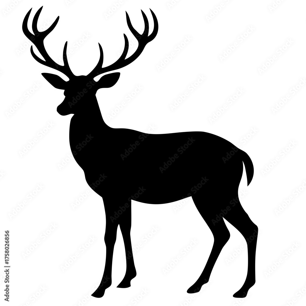 Obraz premium silhouette of a deer
