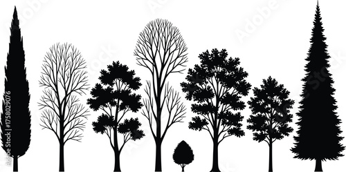 Tree silhouette vector illustration set, black artwork, diverse forest shapes and foliage patterns, botanical elements, minimal nature design, abstract landscape composition