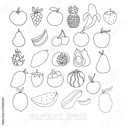 Set of variant fruit and style.  Organic fruits collection in doodle style, vector illustration isolated on white background
