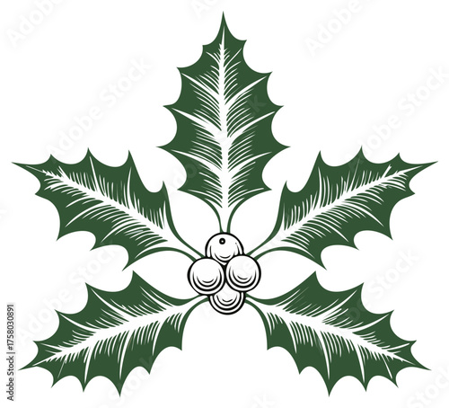 Stylized Holly Berries and Leaves Traditional Christmas Decoration Illustration