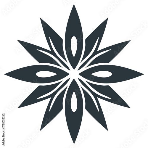 Geometric Star Anise Spice Icon, Abstract Flower Mandala Ornament, Dark Floral Pattern