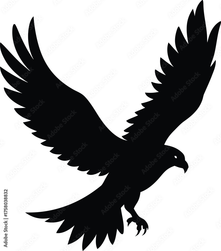 Fototapeta premium eagle vector silhouette