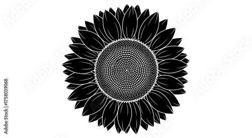 A stylized black and white illustration of a sunflower with detailed petals and a seed-filled center