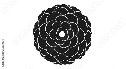 Abstract circular pattern of layered, scalloped petals in black and white