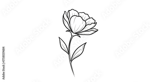 Elegant single flower with delicate petals and stem, artfully outlined