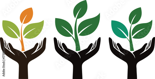 Hands holding growing plants in different colors growth
