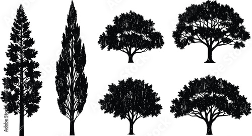 Tree silhouette vector illustration, diverse forest design with broad canopy oak, cypress, conifer, rounded foliage, abstract nature art, decorative botanical elements, creative inspiration