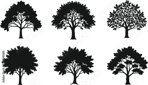 Tree silhouette vector illustration, diverse forest design with curved branches and dense foliage, abstract botanical art, decorative nature elements, creative woodland inspiration concept