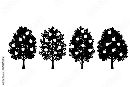 Four apple trees with leaves and fruits in black silhouette on a white background in a vector format