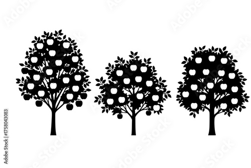Four apple trees with leaves and fruits in black silhouette on a white background in a vector format