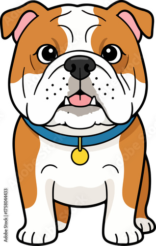 Vector art of cartoon bulldog with a blue collar, standing and looking straight ahead at the viewer