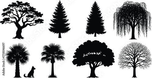 Tree silhouette vector illustration, diverse forest design with palm oak willow conifer and dog, abstract nature art, seasonal foliage concept, decorative botanical inspiration
