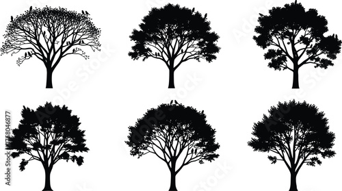 Tree silhouette vector illustration, diverse forest design with perched birds and unique canopy patterns, abstract botanical art, decorative nature elements, creative woodland inspiration concept