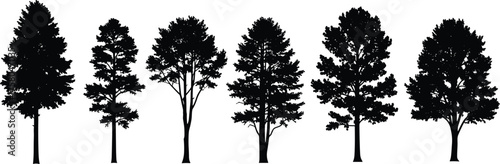 Tree silhouette vector illustration, diverse forest design with unique canopy and branching patterns, abstract botanical art, decorative nature elements, creative woodland inspiration concept