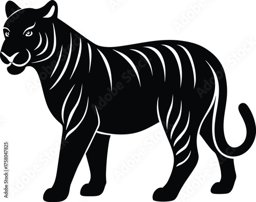 Photography A striped zebra cartoon vector illustration of a wild safari mammal isolated on
